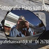 Hans van Dijk Profilfoto