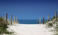 Beach crossing