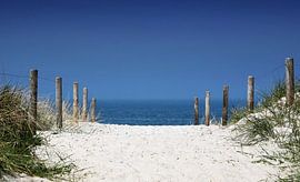 Traversée des plages sur Frank Herrmann