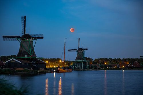 Bloedmaan