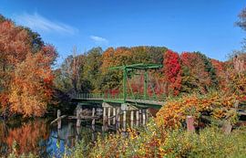 Kroonbrug in de Herfst , Biesbosch , Werkendam van Rens Marskamp