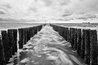Slowmotion. by Ron Westbroek thumbnail