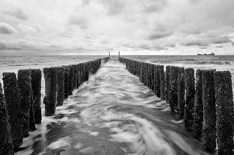 Slowmotion. by Ron Westbroek