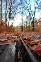 Herbst im Freilichtmuseum