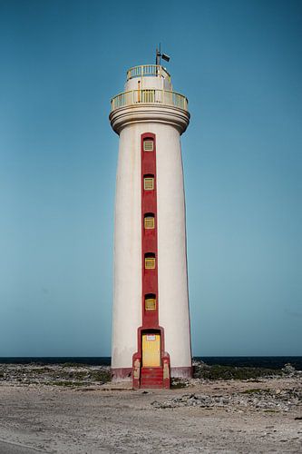 Der Wächter von Bonaire von K. Pauw Photography