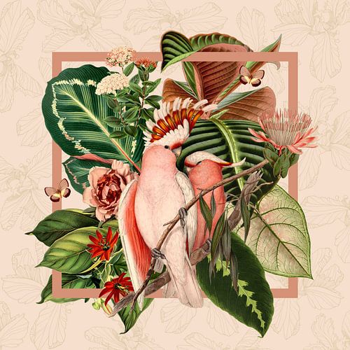 Cockatoo in the context of botanical elements