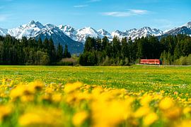 Malerischer Ausblick auf das frühlingshafte Allgäu und seine Berge von Leo Schindzielorz
