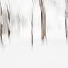 Winterlandschap van bomen in beweging van Imaginative