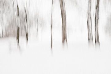 Paysage hivernal d'arbres en mouvement sur Imaginative