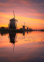 Kleurende zonsopgang bij Kinderdijk molens