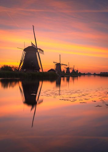Farbenfroher Sonnenaufgang bei den Mühlen von Kinderdijk