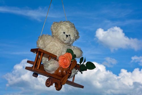 L'ours en peluche fait un grand voyage