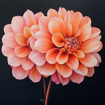 Two Dahlias's