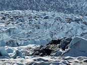 Knik Glacier - Alaska  van Tonny Swinkels thumbnail