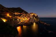 Cinque Terre - Manarola van Damien Franscoise thumbnail