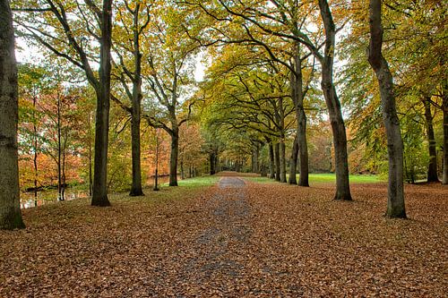 Herbst in Westerwolde