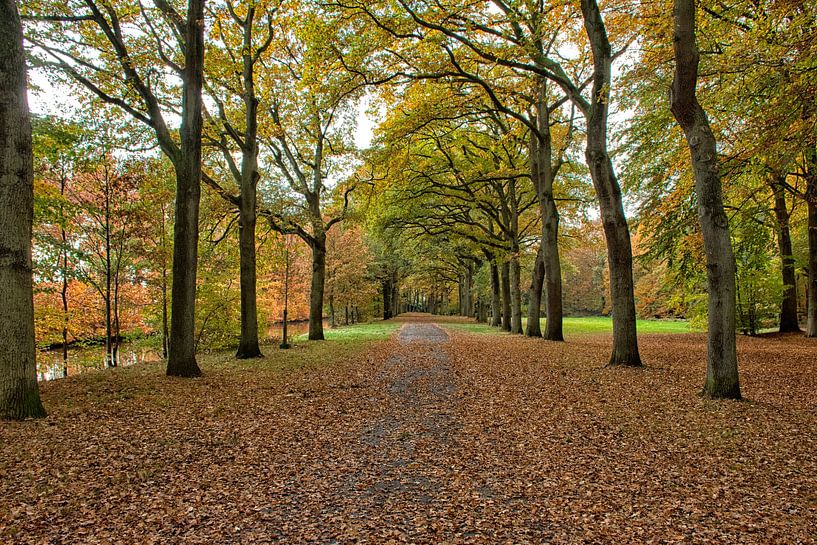 L'automne à Westerwolde par Michel Leertouwer