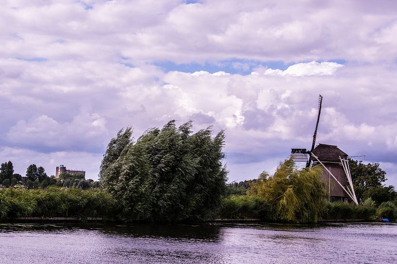 Windmolens in Nederland. van Brian Morgan