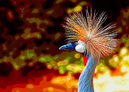 Crowned crane