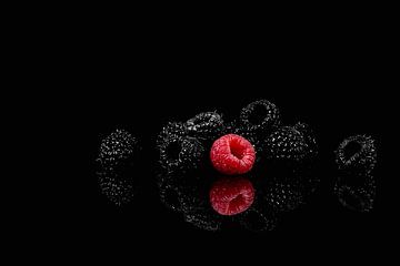 Zwarte en rode frambozen van Vovk Serg