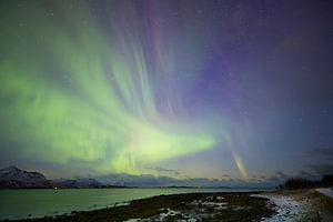 Nordlichter in Form eines Vogels