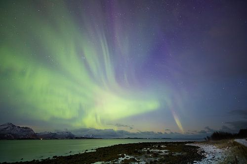 Northern Lights in the shape of a bird