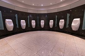 Der Rhythmus der Wiederholung von Bob Janssen