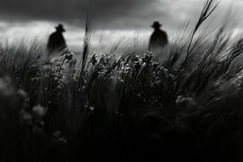 La dernière observation sur Skyfall Iconics