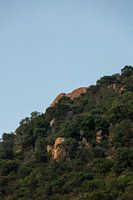 Les montagnes d'Afrique du Sud