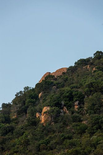 Les montagnes d'Afrique du Sud