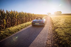 Porsche Boxster GTS Typ 981