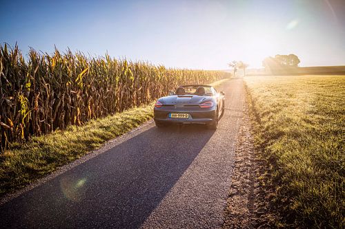 Porsche Boxster GTS Typ 981