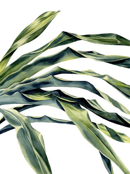 Feuilles de palmier par Kristin Tessen