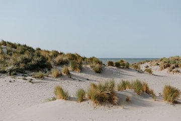 De duinen van Noordwijk | Pastelkleuren | Strand fotografie | Wall art print van Alblasfotografie
