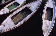 Four slender rowing boats. by Dick Termond thumbnail