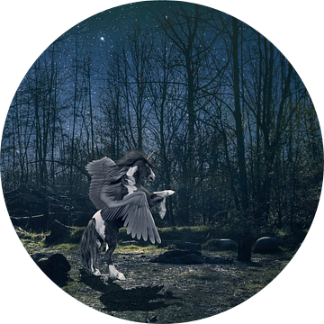 Alicorn in the night van Elianne van Turennout