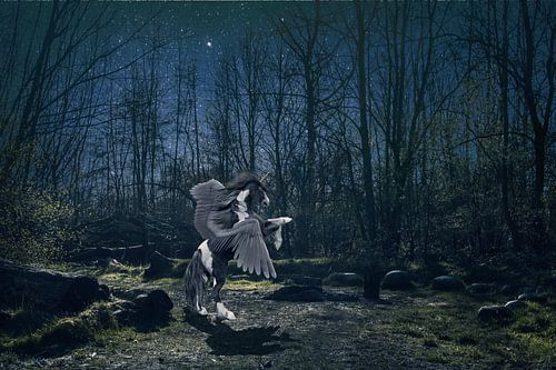 Magische Nachtelijke Beeldmanipulatie van Vliegende Eenhoorn in het Bos - Mystieke Wanddecoratie