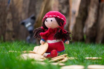 Little Red Riding Hood and the Wolf by Anne Van Opdorp