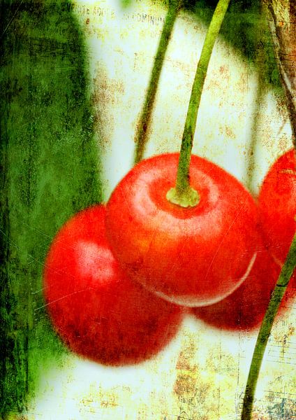 Rote Kirschen von Roswitha Lorz