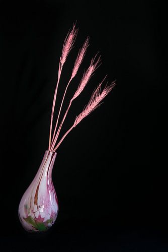 Still life with culms