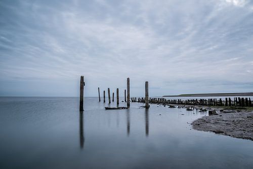 Silence in the morning