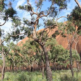 Uluru van Matthias Brix