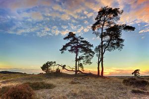 Parc national du coucher du soleil de Hoge Veluwe