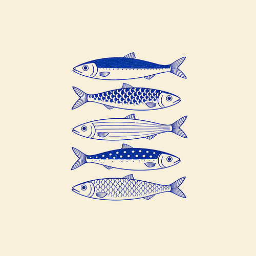 Ivory Currents: A Quintet of Indigo Fish