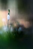Silence