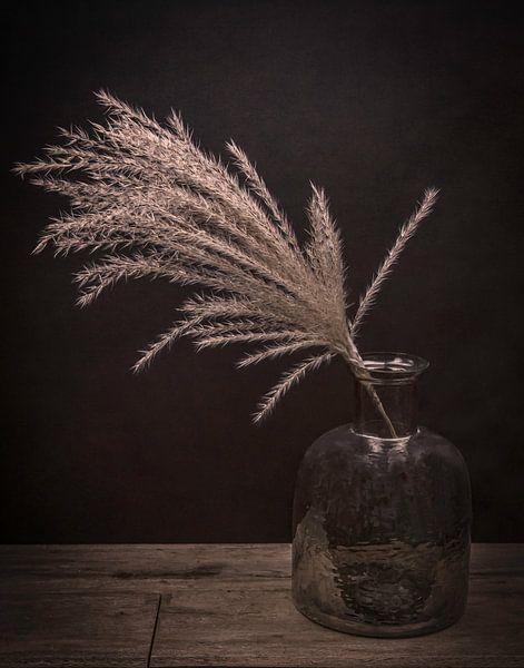 Nature morte moderne : Plume dans un vase par Marjolein van Middelkoop