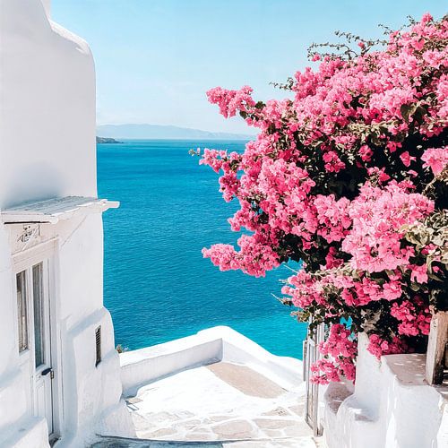Coast in bloom