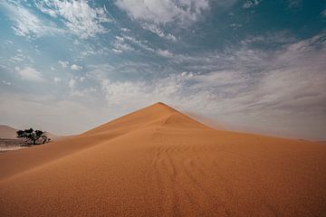 Zandduin in de Namib-woestijn van Namibië, Afrika van Patrick Groß