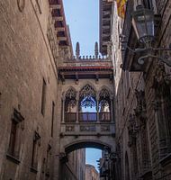 Pont del bisbe - Barcelona - Spanje