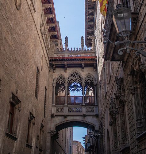 Pont del bisbe - Barcelona - Spanje